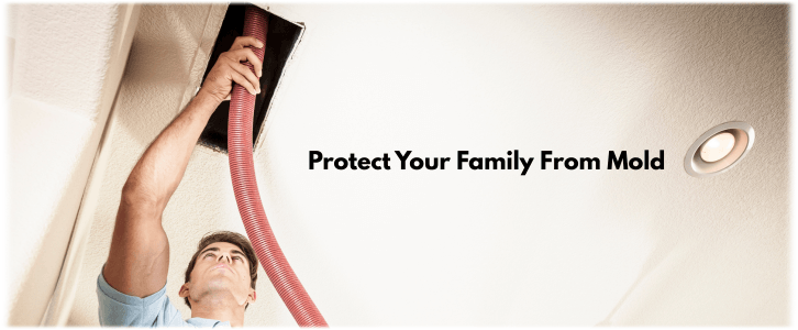 Air Duct Mold Removal in Beverly Hills CA